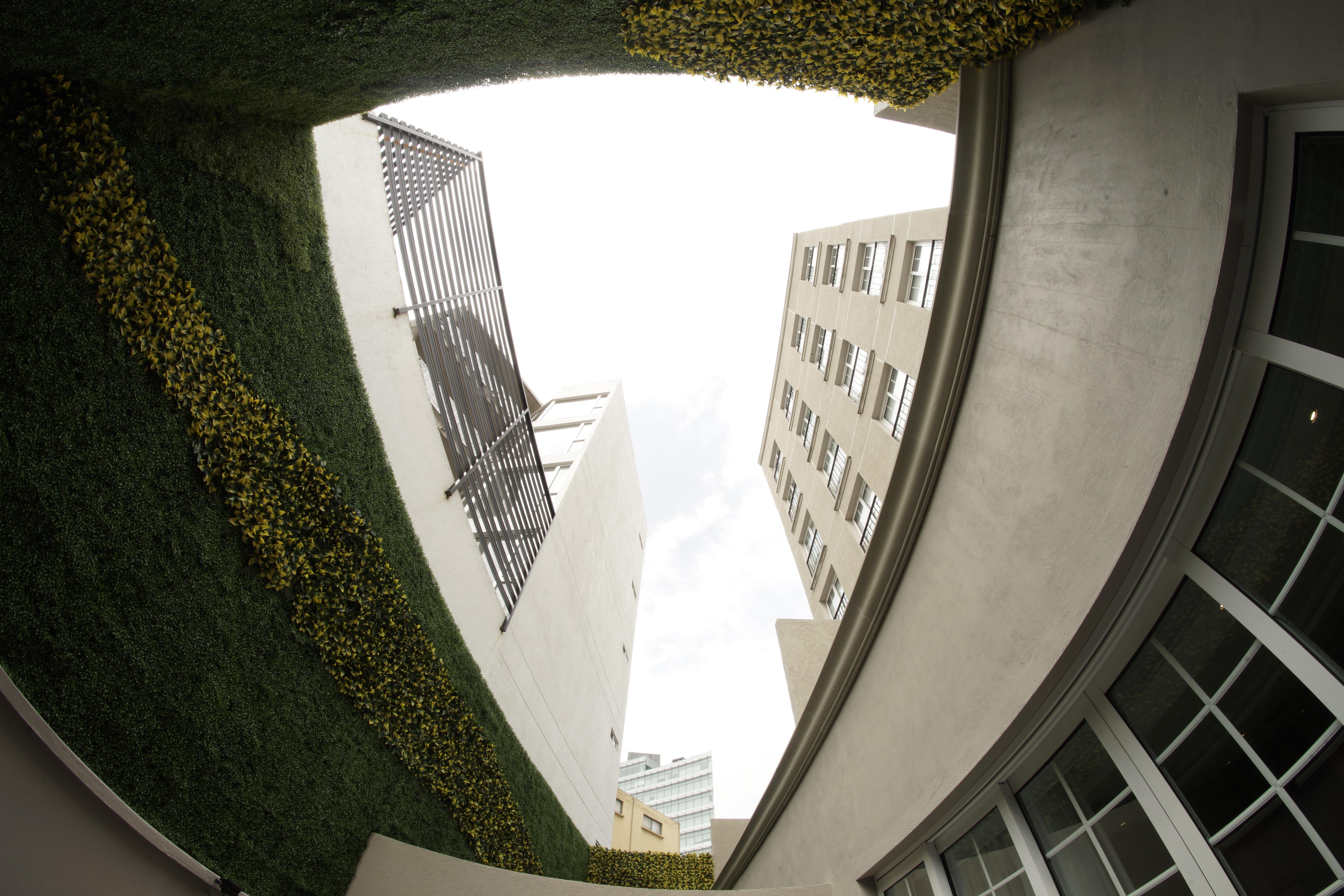 Isaaya Hotel Boutique By Wtc Mexico City Exteriör bild