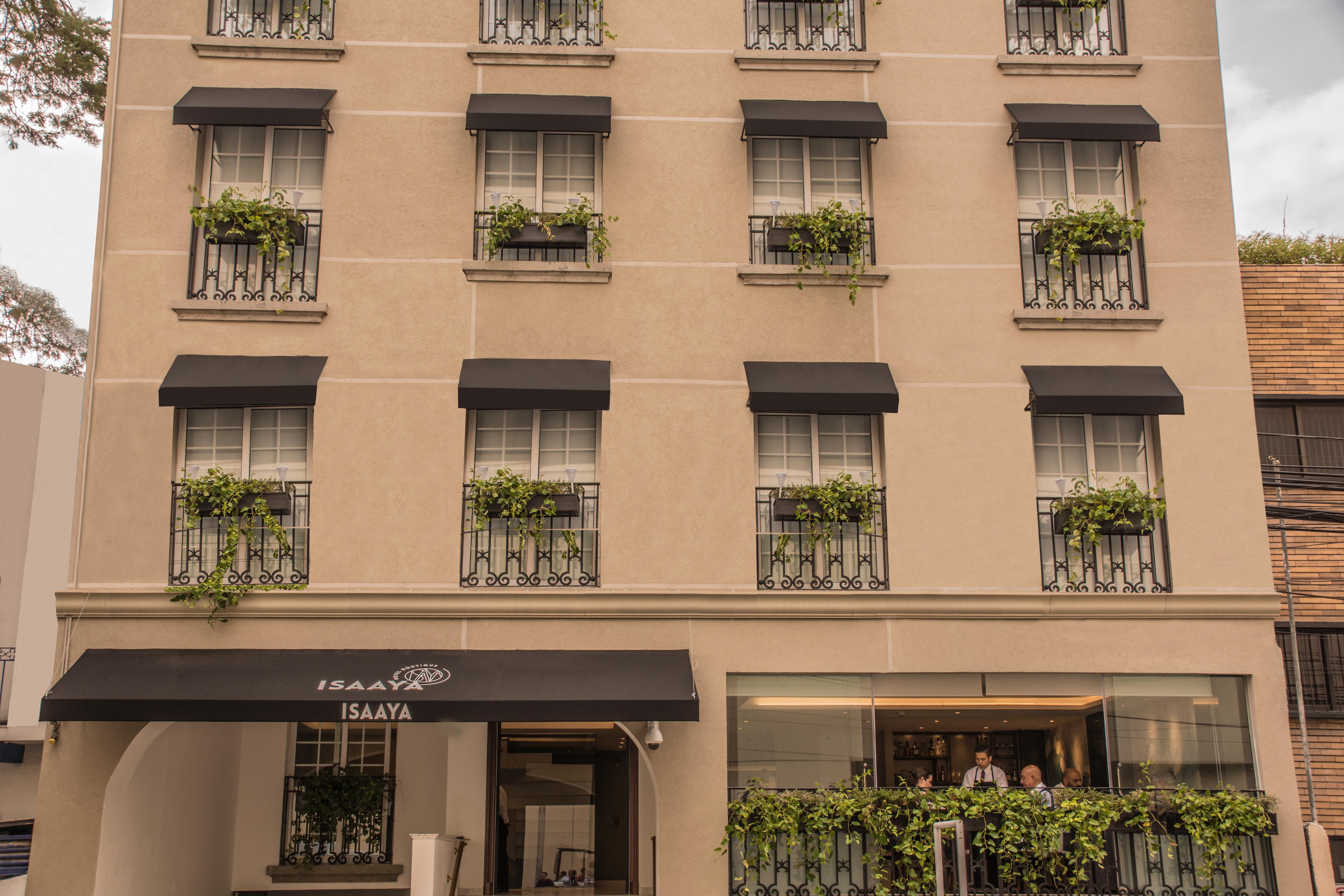 Isaaya Hotel Boutique By Wtc Mexico City Exteriör bild
